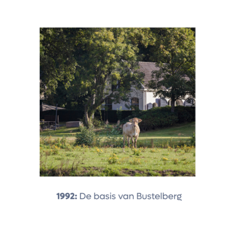 Bustelberg wordt opgericht vanuit de overtuiging dat goed vermogensbeheer begint met persoonlijke aandacht. Een visie die ruim dertig jaar later nog altijd de basis vormt van onze dienstverlening.